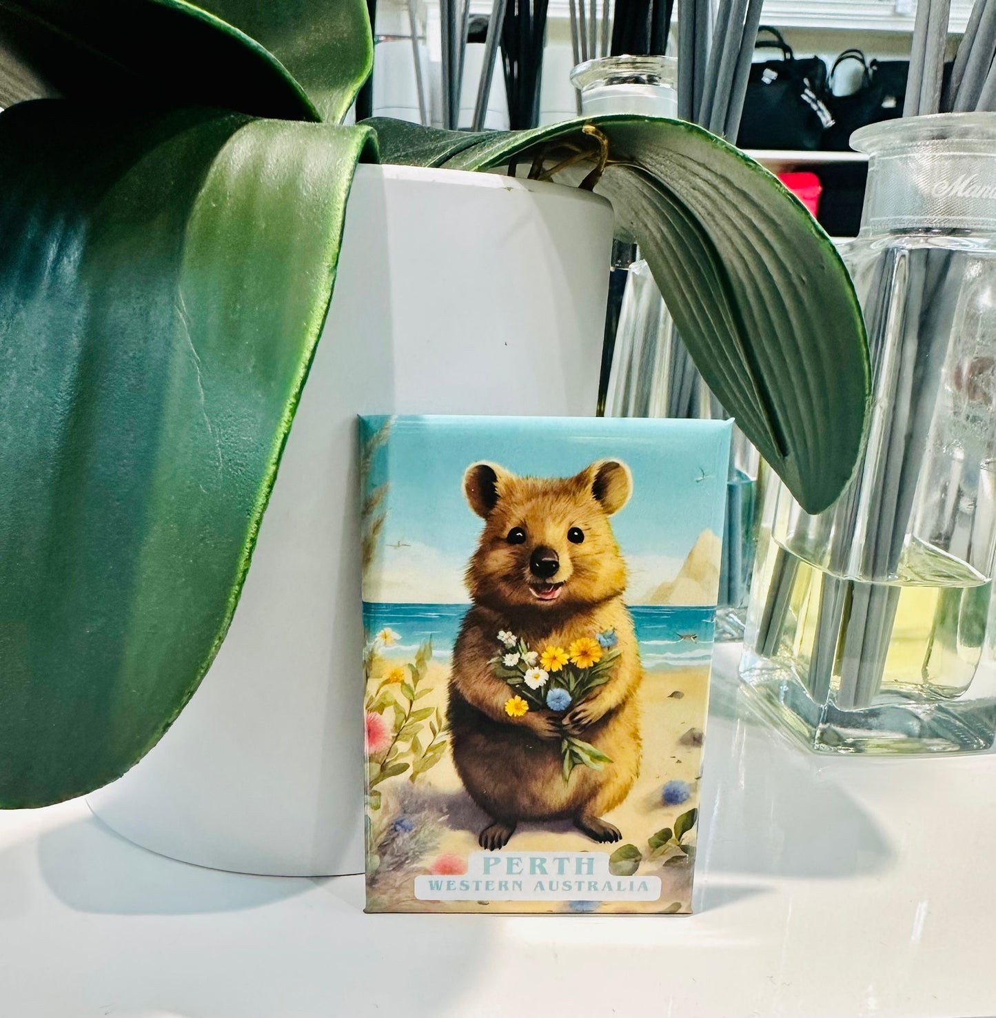 Magnet Gallery Standard Quokka