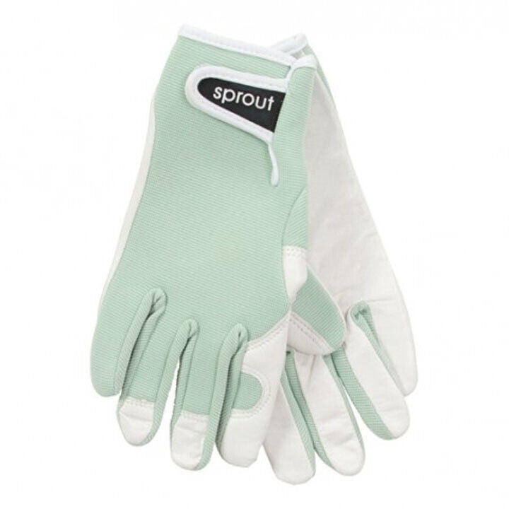 Sprout Goat Skin Gloves